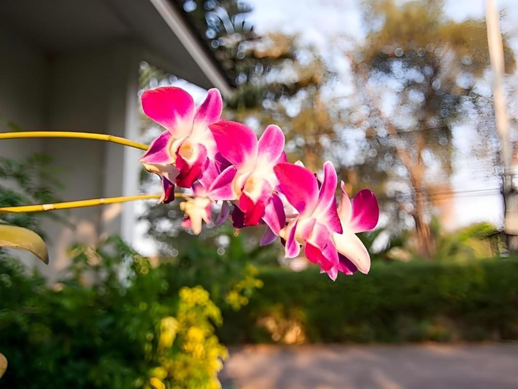 Chayada Garden House And Resort Hotel Nakhon Ratchasima Luaran gambar